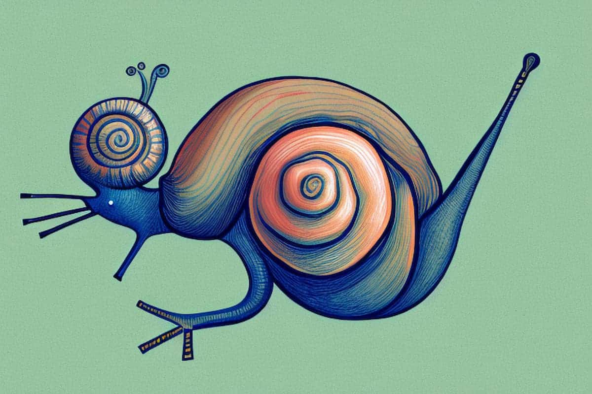 Do Snails Sleep - cartoon image of a snail sleeping
