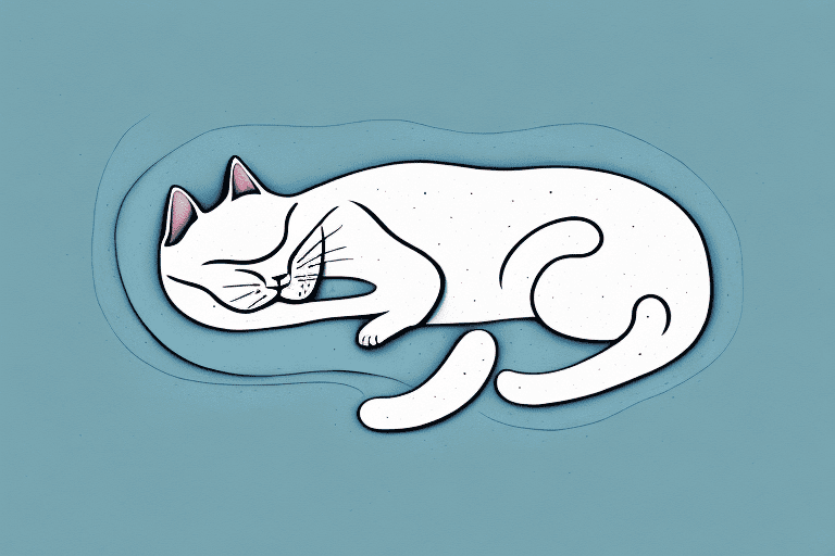 A sleeping cat purring